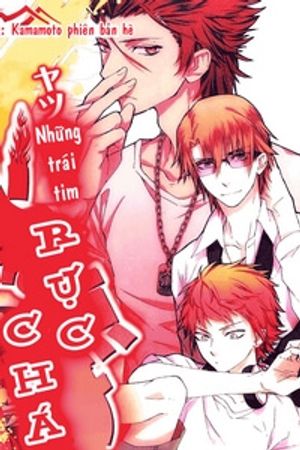 Bóng Chuyền Nảy Lửa - Doujinshi