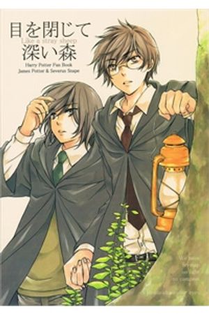 Truyện Tranh Harry Potter Doujinshi - The World 2